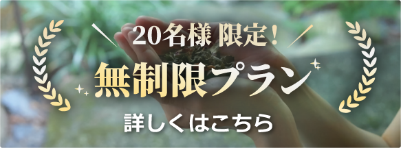 無制限プランはこちら